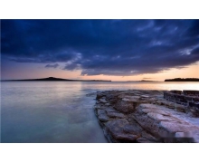 推動科技創新 賦能鄉村振興