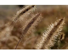 別讓虛擬世界帶偏我們的現(xiàn)實生活