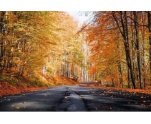 不要讓微信打卡來影響我們正常生活