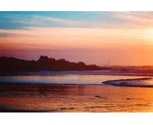 警惕搜題類軟件給孩子“幫倒忙”