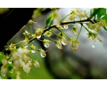 不忘初心 鐵路讓老人跟上時(shí)代的腳步