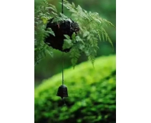 調圖滿足旅客需求多樣化