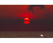 為老年人追尋美麗打call