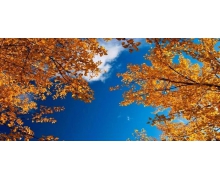 服務(wù)旅客有“速度”，更要有“溫度”