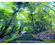 智慧家居，愛享生活