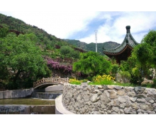 螞蟻莊園旅游時遇到山泉水有些人認(rèn)為其水質(zhì)更