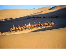 素有我國沙漠第一泉之稱的是 螞蟻莊園5月3日答