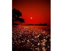 助力“五一小長(zhǎng)假”，鐵路打造溫馨旅途