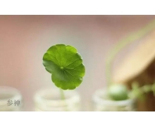 如何看待快遞員也能成為高層次人才