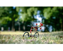 如何看待禁止手機進校園