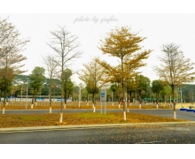 讓我們的城市更智慧一些