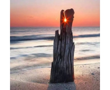 教考分離是否對人才培養有益?