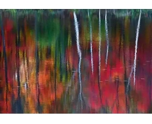 安全求職，填補“信息泄露黑洞”