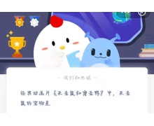 經典動畫片《米老鼠和唐老鴨》中米老鼠的寵物