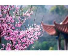 經過紫外線殺菌處理的食物真的會致癌嗎 支付寶