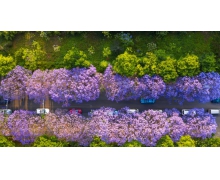 無縫銜接省時多利，為旅客出行營造便捷服務