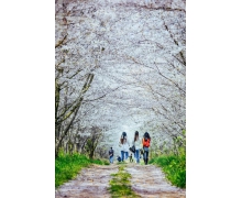 青年人如何讓對待追星問題