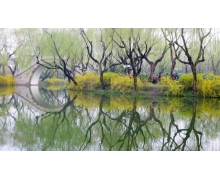 5G手機銷量大漲 科技創新提拉消費