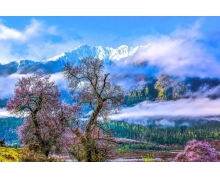 拉林鐵路,奏響雪域高原發展新樂章