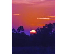 點餐,我們不需要太多“掃碼關注”