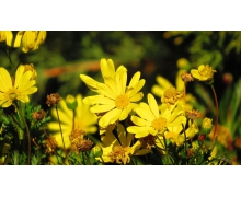 打破狹隘觀念 尋找自己的人生舞臺(tái)