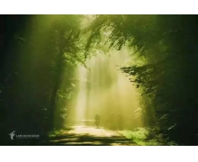 倡導低碳生活讓地球不再嘆息