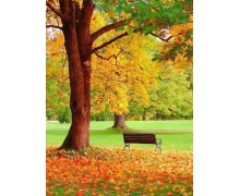 5G科技為伴,鐵路勇挑復興征程