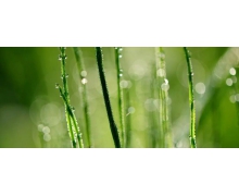 運動離不開科學(xué)“處方”