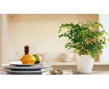 懷揣“熱度”，提升旅行“溫度