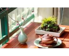 “清涼”出行,“暑”你最美