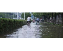 看到馬路積水處出現漩渦，應該怎樣做 螞蟻莊園