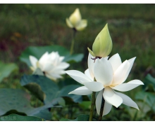 復興號智能動車組 中國高鐵的亮眼新升級