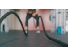 我們在進行高強度的體育鍛煉時應該注意 螞蟻莊