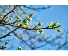 免費退票，再現鐵路拳拳赤子心