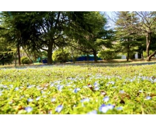 免費退票，讓民生更有溫度