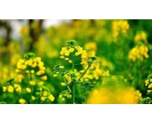 鐵路免費退票舉措暖人心