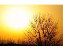 張吉懷鐵路開通在即，“五縱五橫“規(guī)劃再下一