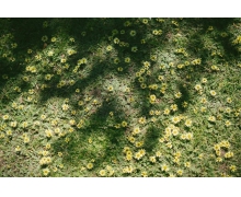   張吉懷高鐵開通在即 美麗湘西邁進新時代