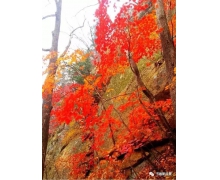 經濟韌性有底氣，鐵路防疫有擔當