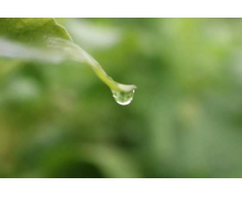 方便快捷更高效，西安北站“零換乘”助力全運