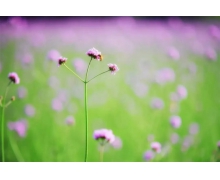 從“高鐵極速達(dá)”感悟服務(wù)初心