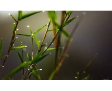 你的暑運是什么樣子