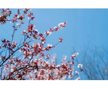 于飛檐峭壁間，守護鐵路安全