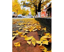 噪聲污染防治法，讓大媽舞出文明范