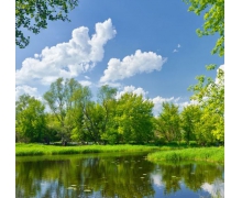 尊重消費(fèi)者是企業(yè)的基本素養(yǎng)