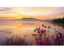 信息時代可憐了老年人