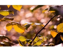 高鐵與5G攜手共進