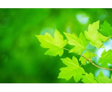 打破“智慧壁壘”,跨越“數字鴻溝”