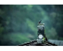 高鐵大橋“華麗轉身”背后的底氣和從容