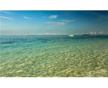 堅決防止未成年人沉迷網絡游戲